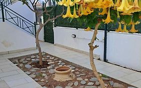 Dimitris Place Near Athens Airport