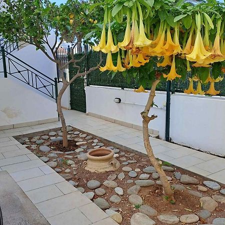Dimitris Place Near Athens Airport Koropi Exterior photo