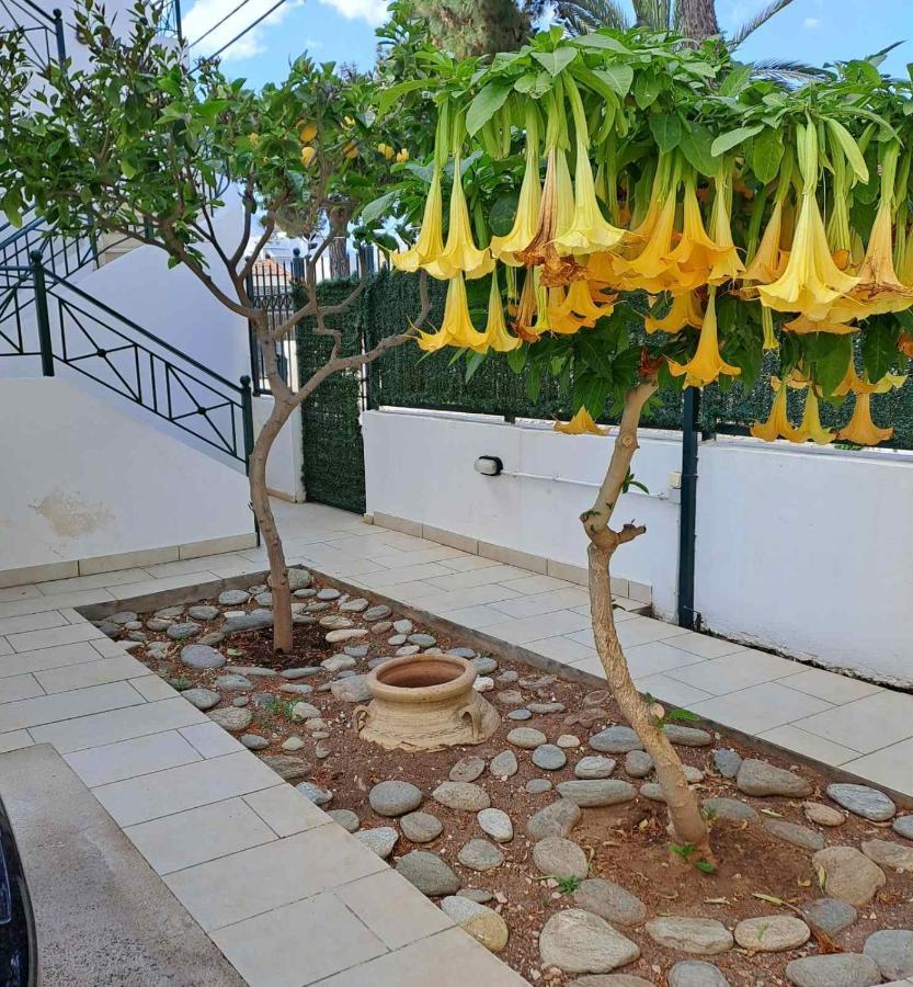 Dimitris Place Near Athens Airport Koropi Exterior photo