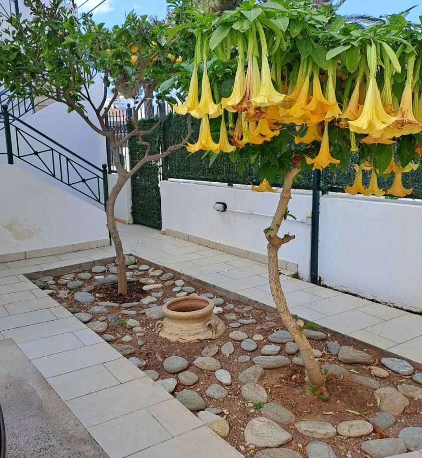 Dimitris Place Near Athens Airport Koropi Exterior photo