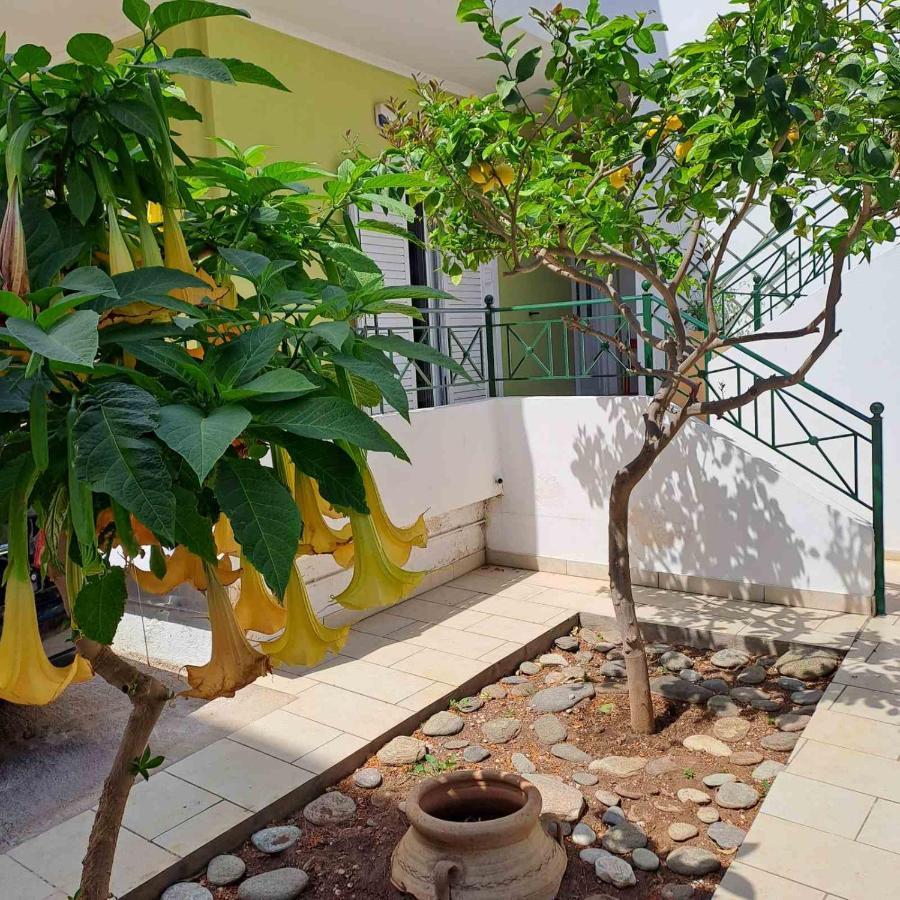 Dimitris Place Near Athens Airport Koropi Exterior photo